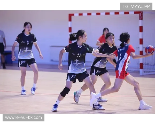 手球赛事热度攀升 参与人群持续扩大 手球赛事热度攀升 参与人群持续扩大